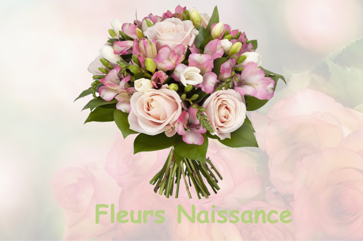 fleurs naissance MOUSCARDES