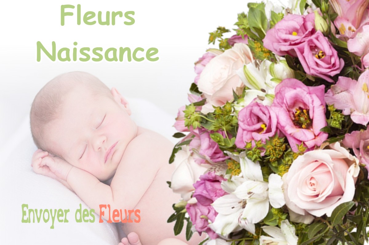 lIVRAISON FLEURS NAISSANCE à MOUSCARDES